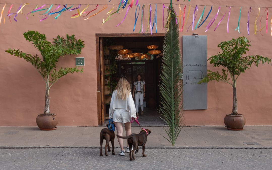 Sobre la autenticidad y lo auténticamente auténtico